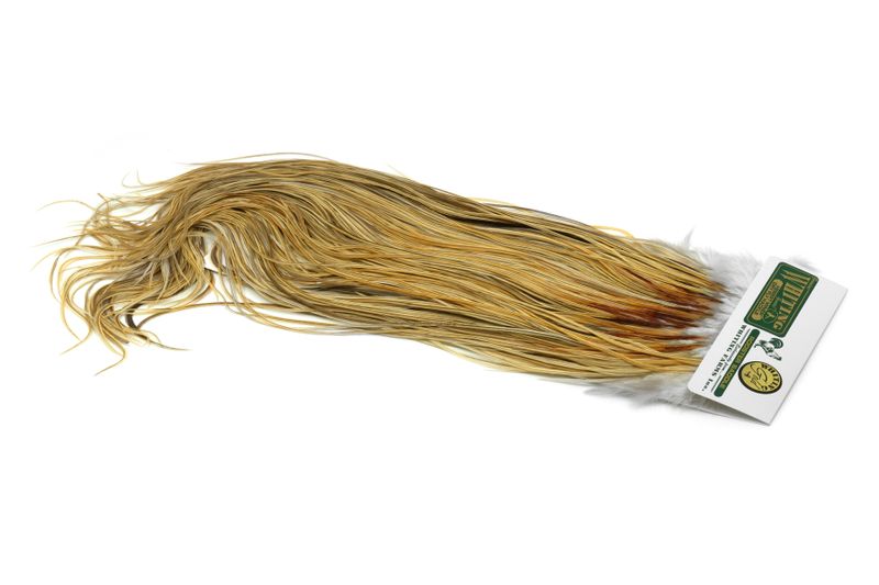 Whiting Hebert Rooster Saddle – Gold â€“ dealerweb-cms-54a37e7f-7955-44cd-9c70-ef58184007dc.jpg