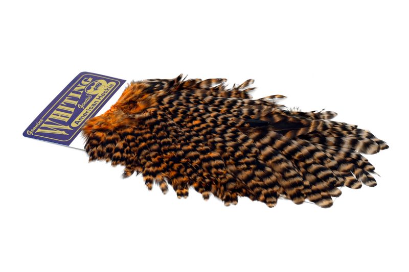 Whiting American Hen Saddle â€“ dealerweb-cms-561c30a1-67c1-4e8f-9c6d-d5e30bd1558e.jpg