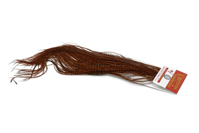 Whiting Silver 1/2 Saddle â€“ dealerweb-cms-56c3ceba-cf38-4b62-8803-ac8f5630f15b.jpg