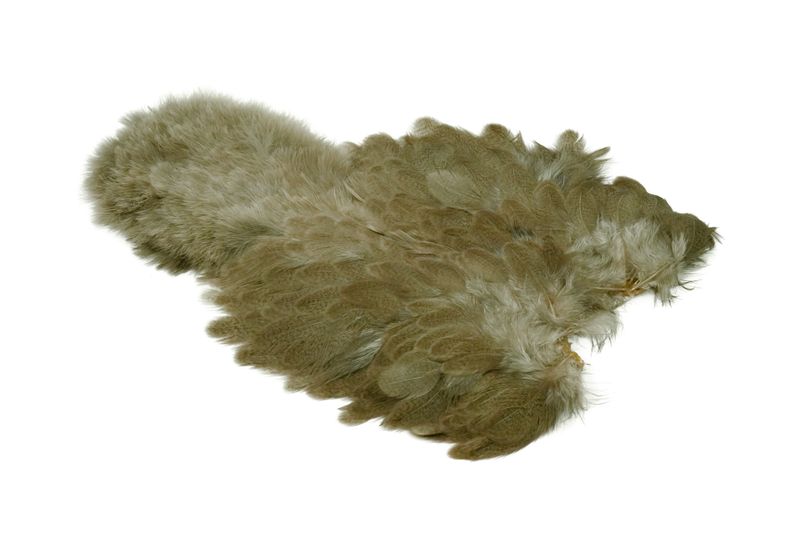 Whiting Brahma Hen SH/C â€“ dealerweb-cms-575b9337-0c31-4893-94ef-2b724957e154.jpg