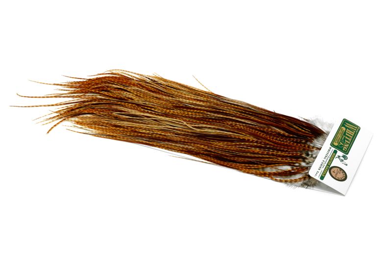 Whiting Hebert Rooster Saddle – Bronze â€“ dealerweb-cms-5805a18b-05d8-4fee-9d56-0bb350bacef4.jpg