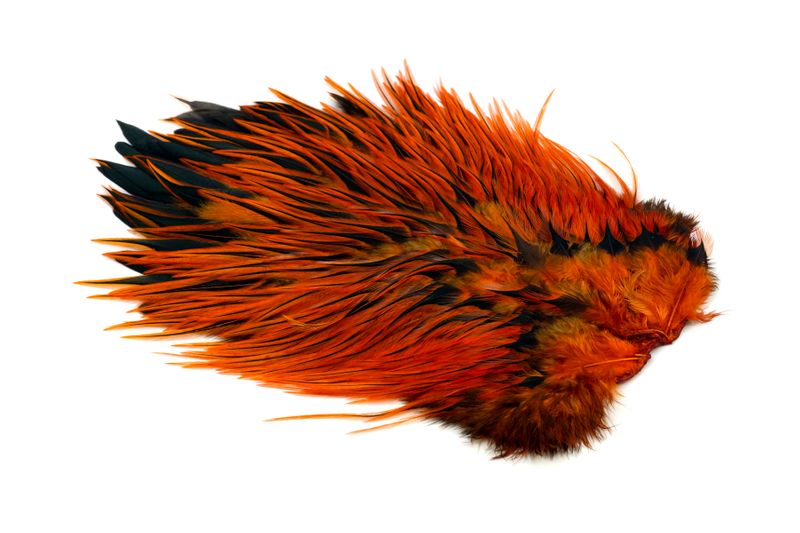Whiting Brahma Rooster Saddle â€“ dealerweb-cms-59445f91-fc9d-4173-b5a0-f4b8dc697d0b.jpg