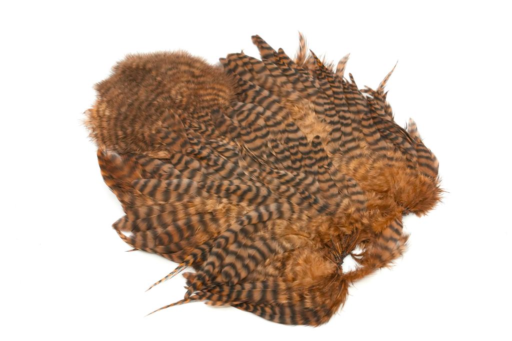 Whiting Rooster Softhackle W Chickabou SH/C - Grizzly Brown