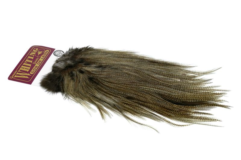 Whiting Coq de Leon Rooster Saddle – Silver â€“ dealerweb-cms-5b0aafe3-3333-4ae8-9ad0-eef98430d566.jpg