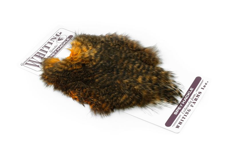 Whiting Spey Hackle Hen Saddle â€“ dealerweb-cms-5c24b79e-dced-43eb-a90c-48c0a98ea8a6.jpg