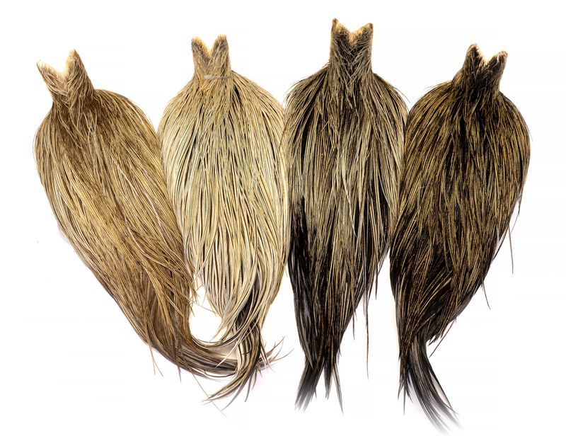 Whiting Heritage Rooster Cape â€“ dealerweb-cms-5c6e46e1-f1e9-4448-b8be-3d84bec6fcec.jpg