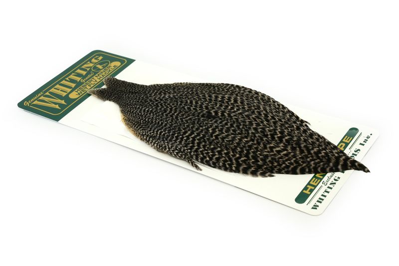 Whiting Hebert Hen Cape â€“ dealerweb-cms-5ccaf75d-84d2-41c7-a875-bfd4a853ccb7.jpg