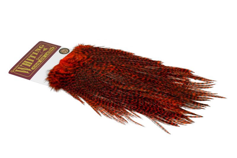 Whiting Coq de Leon Rooster Saddle – Bronze â€“ dealerweb-cms-5d474706-83cb-4b8c-8b44-19c7d3634ea7.jpg