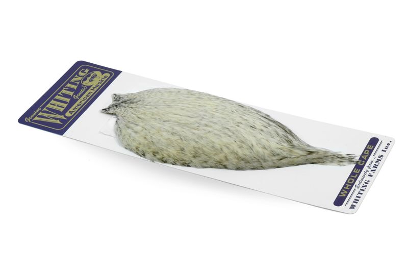 Whiting American Rooster Cape â€“ dealerweb-cms-61b52e6f-e592-447e-be6b-04aea55f9880.jpg