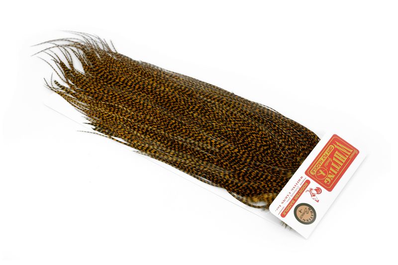Whiting Rooster Saddle – Silver â€“ dealerweb-cms-626b3e42-0c3e-400d-8c26-b628eea08611.jpg