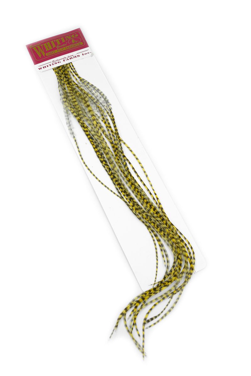 Whiting 100-pk – Size 14 â€“ dealerweb-cms-64db4737-5040-4d42-afe5-be62b4bf38ae.jpg
