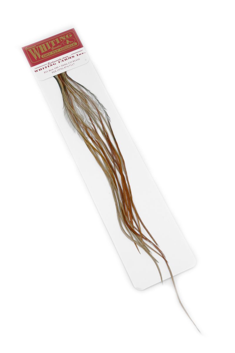 Whiting 100-pk – Size 14 â€“ dealerweb-cms-65d0b2f2-9f04-47e5-8a92-a19070b1351b.jpg