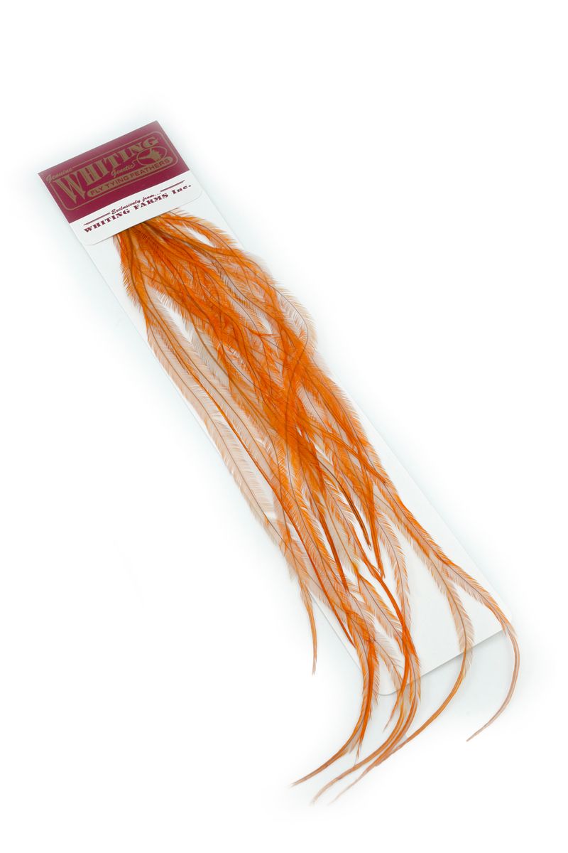 Whiting 100-pk – Size 18 â€“ dealerweb-cms-677401be-faa7-4a77-8251-e1c31a56f335.jpg