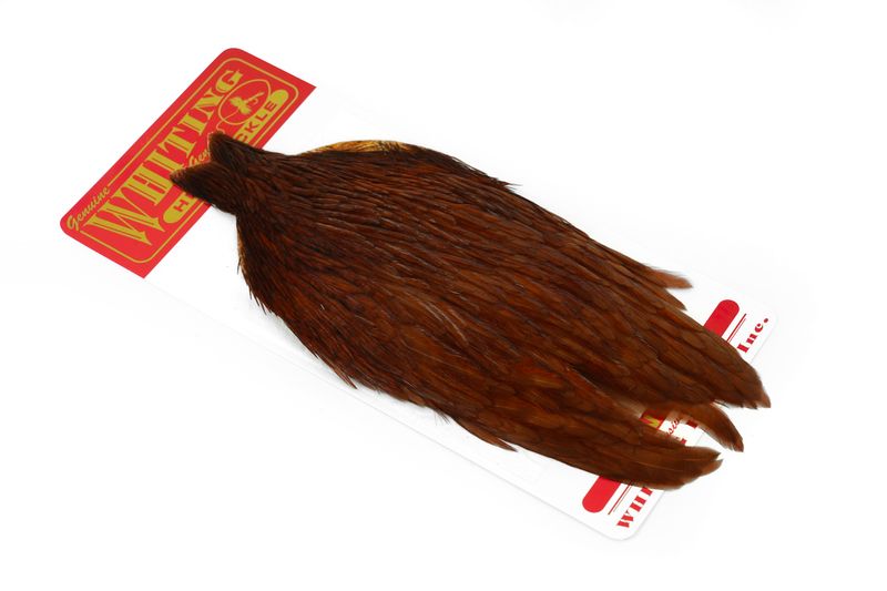 Whiting Hen Cape â€“ dealerweb-cms-68fa6220-ec95-49d0-bbdf-ab1e8adfaac3.jpg