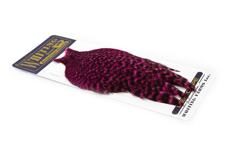 Whiting American Hen Cape â€“ dealerweb-cms-698b2331-05c8-40d4-8dbf-ffe7ab8eb074.jpg