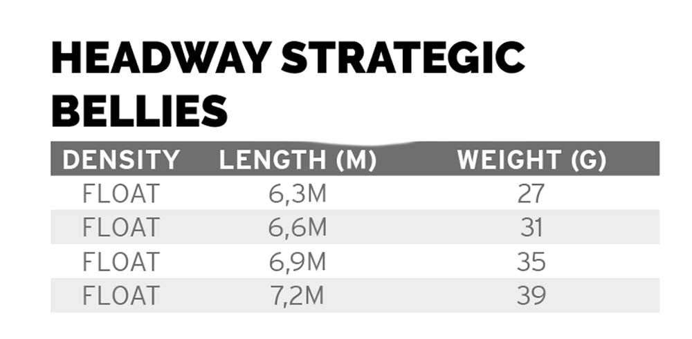 Scientific Anglers Headway Strategic (two-handed shooting head)