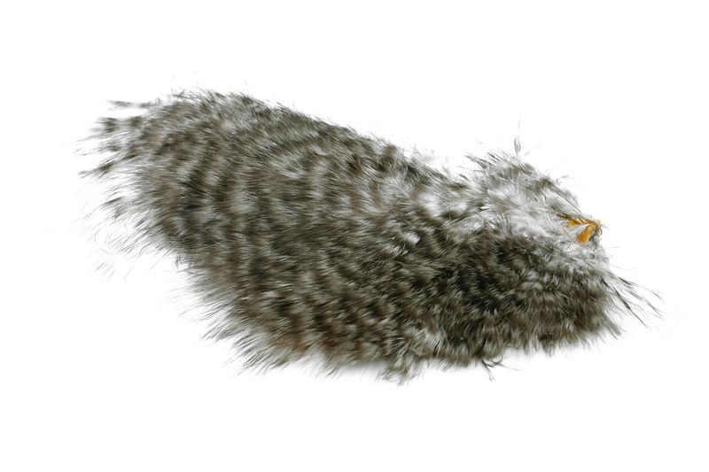 Whiting Mini Bird Fur â€“ dealerweb-cms-6aa33d5b-0563-44d2-ba7f-c52bb316899a.jpg