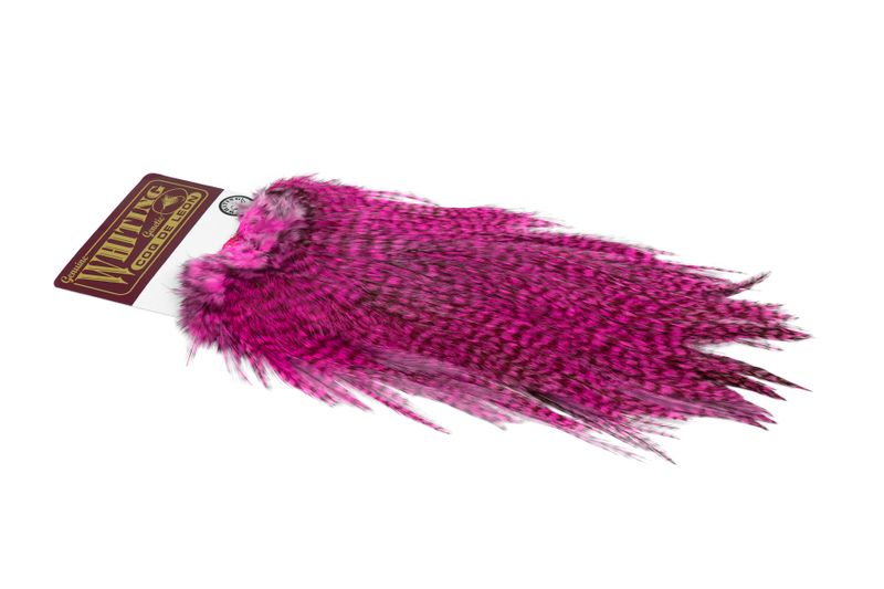 Whiting Coq de Leon Rooster Saddle – Silver â€“ dealerweb-cms-6b296882-9e39-4e96-ae7e-07e9e86129e1.jpg