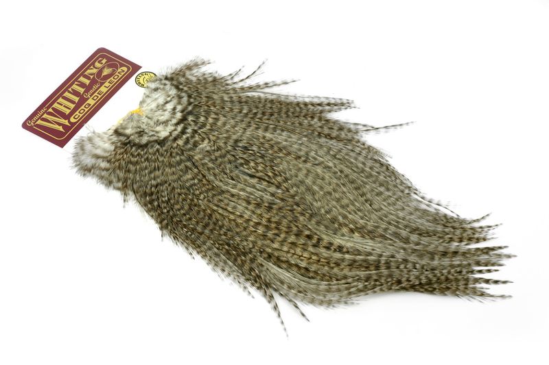 Whiting Coq de Leon Rooster Saddle – Gold â€“ dealerweb-cms-6e5f9159-b003-4829-82b8-3fe5e49ec6b3.jpg