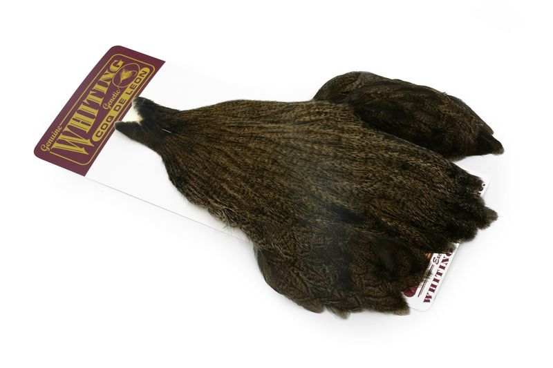 Whiting Coq de Leon Hen Cape â€“ dealerweb-cms-72a7da6b-1863-4317-93dd-e2baf662c579.jpg