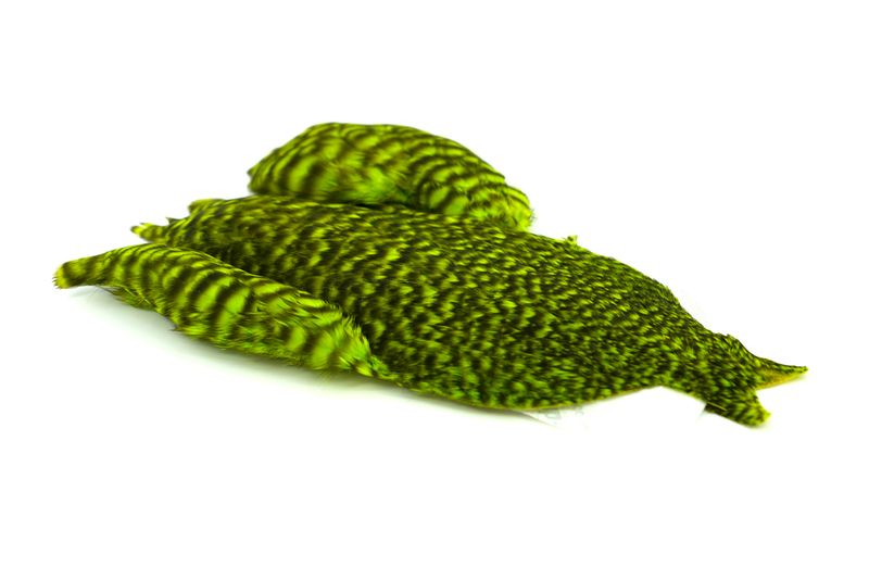 Whiting 4 B's Hen Cape â€“ dealerweb-cms-72ab1eff-5145-451b-b2bc-e3bb55fce66e.jpg