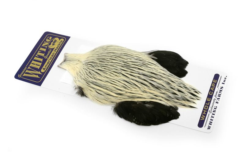 Whiting American Rooster Cape â€“ dealerweb-cms-79b9da65-d262-4730-9e1a-ea5405a8fcd3.jpg