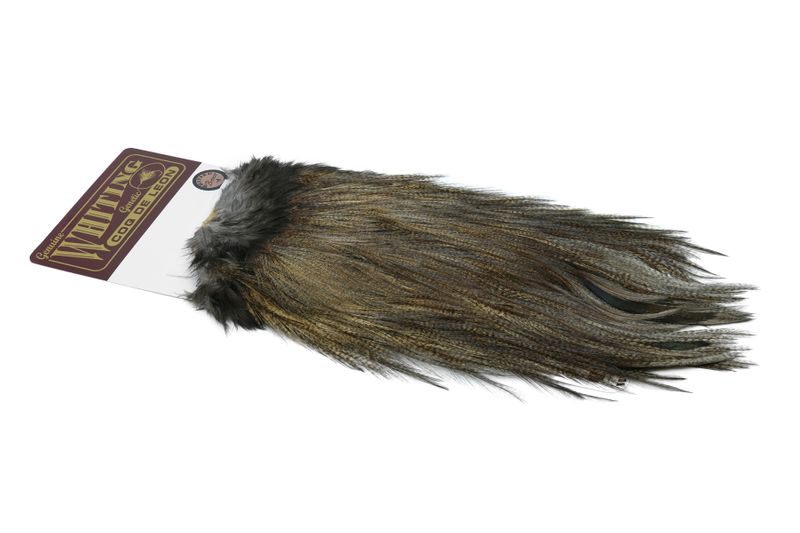 Whiting Coq de Leon Rooster Saddle – Bronze â€“ dealerweb-cms-7a0da337-f1c1-46ed-a24d-871448a04105.jpg