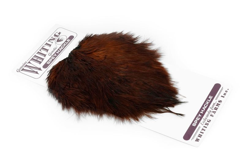 Whiting Spey Hackle Hen Saddle â€“ dealerweb-cms-7b80e520-2037-4994-8548-506d560de75c.jpg