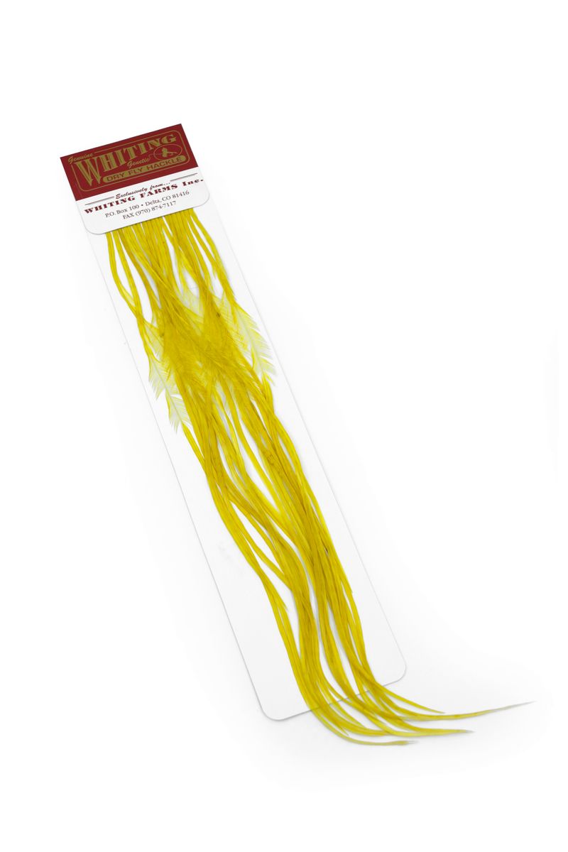 Whiting 100-pk – Size 12 â€“ dealerweb-cms-7d95f340-c1ef-4309-9d42-b3d947791205.jpg