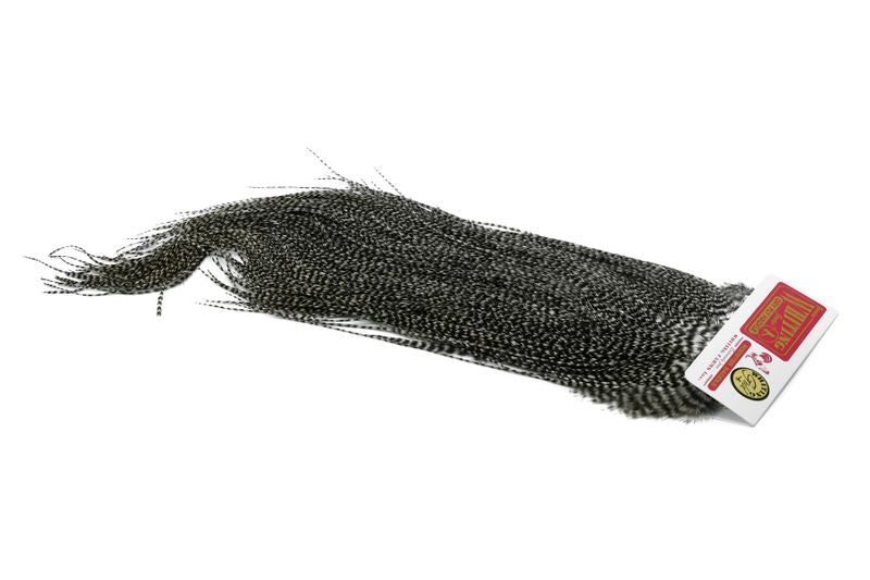 Whiting Gold Midge Saddle â€“ dealerweb-cms-7f1d2eb5-e908-40b7-9f6e-1e1f68d1470b.jpg