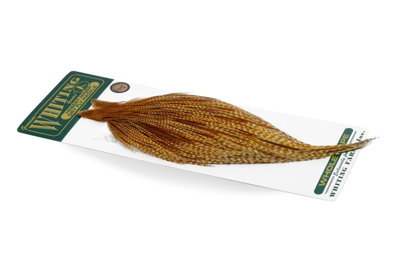 Whiting Hebert Rooster Cape – Bronze â€“ dealerweb-cms-80f0a4f7-b5ee-462a-ba17-f416246a869f.jpg