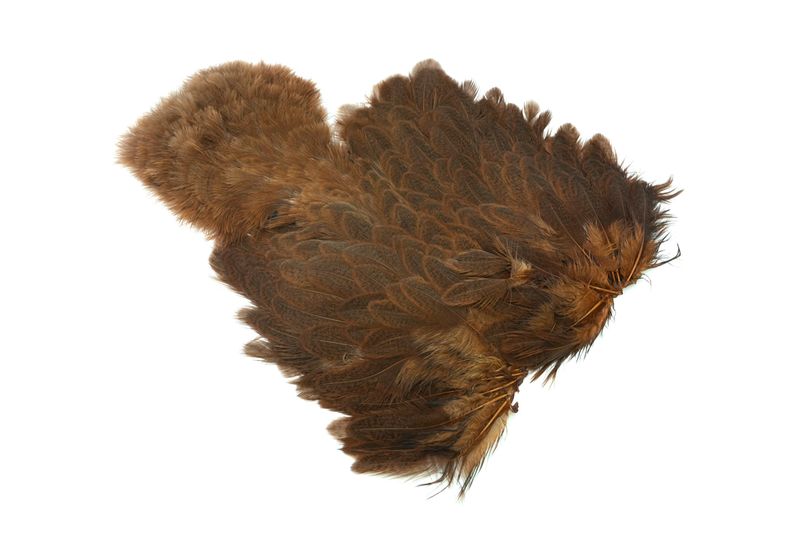Whiting Brahma Hen SH/C â€“ dealerweb-cms-82828cc3-be87-465f-82dd-dfc97a9f6c17.jpg