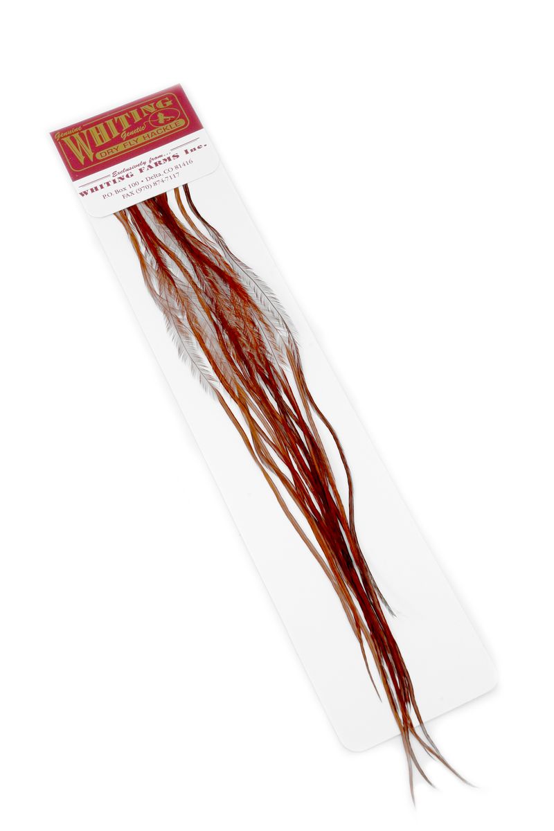 Whiting 100-pk – Size 20 â€“ dealerweb-cms-82af297a-1a45-45f6-a0fd-a22db55c8227.jpg