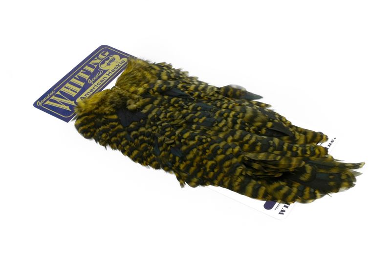 Whiting American Hen Saddle â€“ dealerweb-cms-8347dab8-85c1-4517-9ecd-f385fb063119.jpg