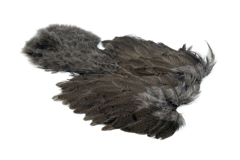 Whiting Brahma Hen SH/C â€“ dealerweb-cms-835e43c3-963f-4904-8a75-f4f2342f5b8d.jpg