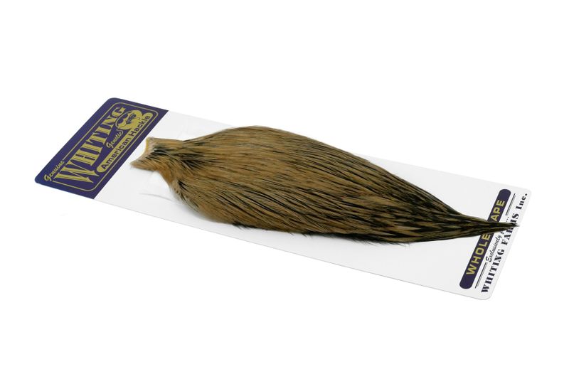 Whiting American Rooster Cape â€“ dealerweb-cms-845a6a45-5e3c-4fd4-8a6d-5365431effb5.jpg