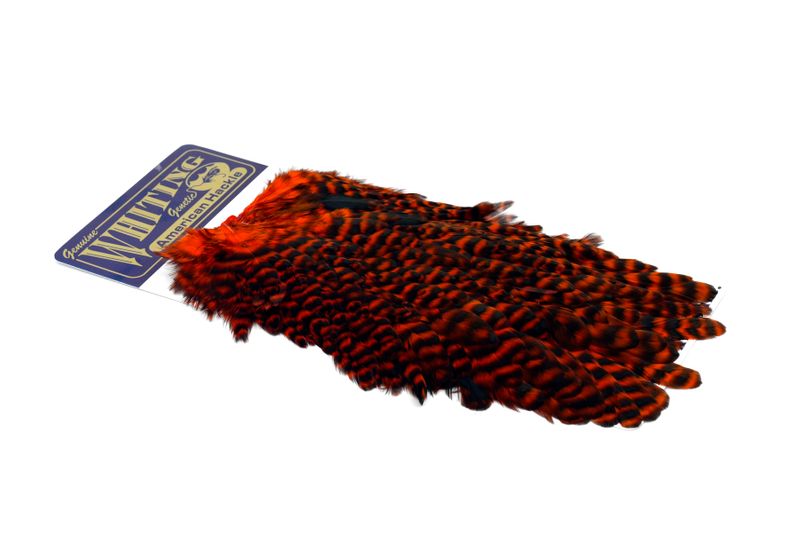 Whiting American Hen Saddle â€“ dealerweb-cms-85733a02-e989-4f80-872d-f5c5994c7c82.jpg