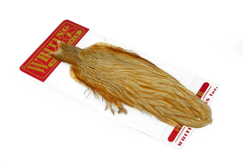 Whiting Hen Cape â€“ dealerweb-cms-85fde8d8-d22f-49ef-89a1-306175834a7b.jpg
