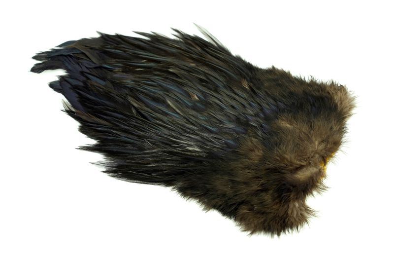 Whiting 4 B's Rooster Saddle â€“ dealerweb-cms-877883f8-6af4-4674-9e16-9c1f230f9fd9.jpg