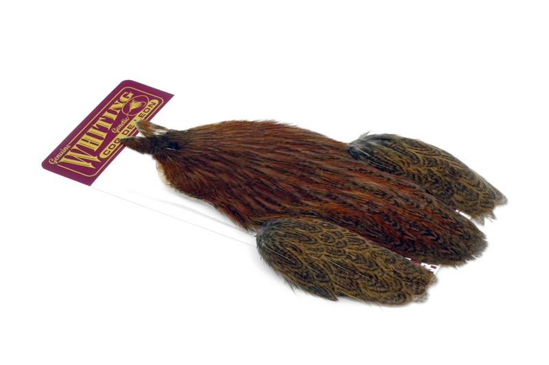 Whiting Coq de Leon Hen Cape â€“ dealerweb-cms-88296107-457e-4363-8111-da469541a8c7.jpg