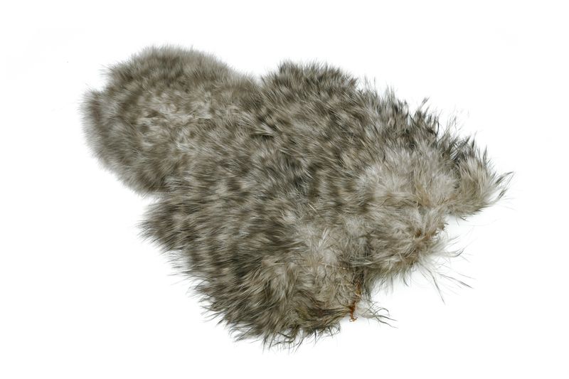 Whiting Spey SH/C â€“ dealerweb-cms-88a48d96-48aa-48d9-8818-d0b5b6a810fd.jpg