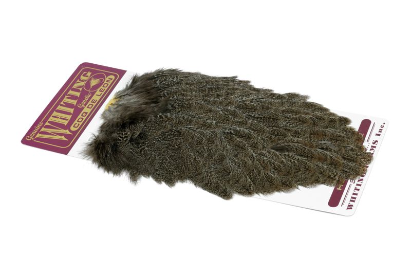 Whiting Coq de Leon Hen Saddle â€“ dealerweb-cms-8a1db9f3-202b-45ea-a567-d336fc5a2ab4.jpg