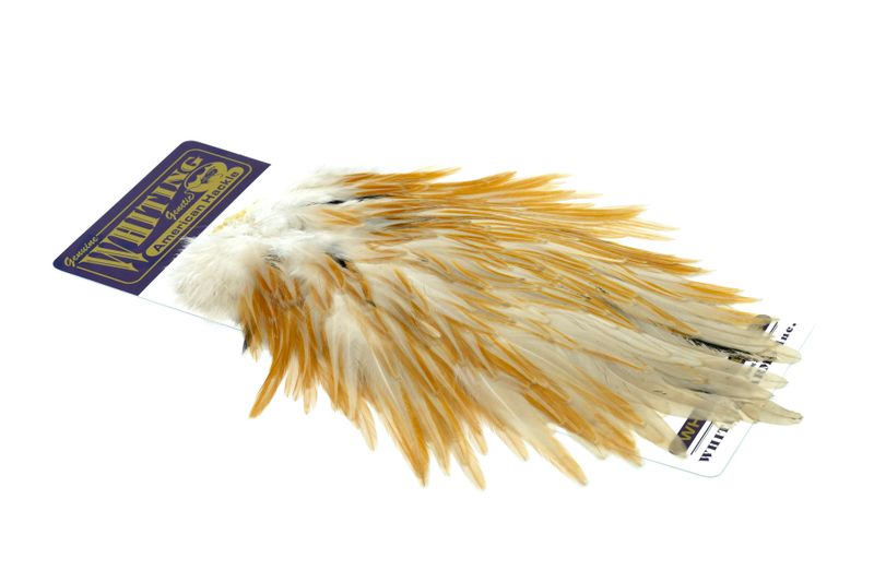 Whiting American Rooster Saddle â€“ dealerweb-cms-8bab2e0d-ce92-40db-b07c-d02e8bcc32b4.jpg