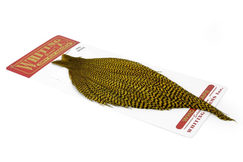 Whiting Rooster Cape – Pro Grade â€“ dealerweb-cms-8df94a86-4a90-4902-ab33-fda12d3f0fb5.jpg