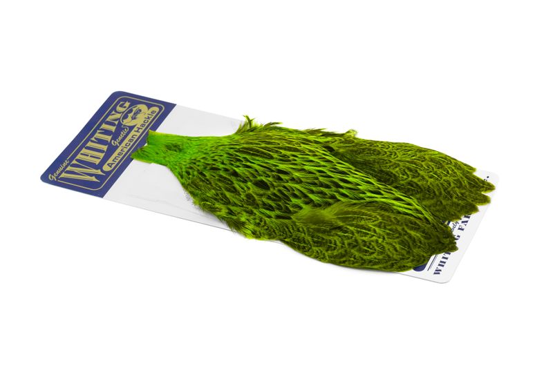 Whiting American Hen Cape â€“ dealerweb-cms-8e30943b-3ee9-4f9e-a292-b890a70d8503.jpg