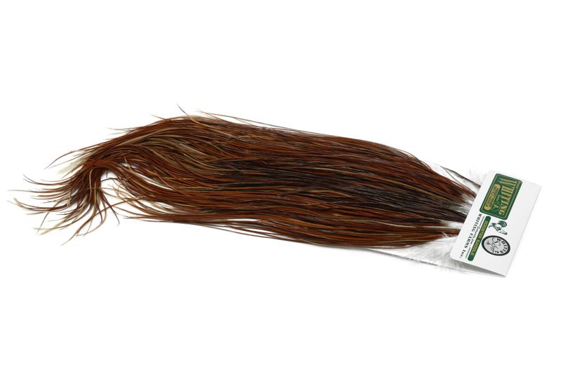 Whiting Hebert Rooster Saddle – Silver â€“ dealerweb-cms-8e869e4a-15d0-4e00-860b-8bd692fdb5ce.jpg