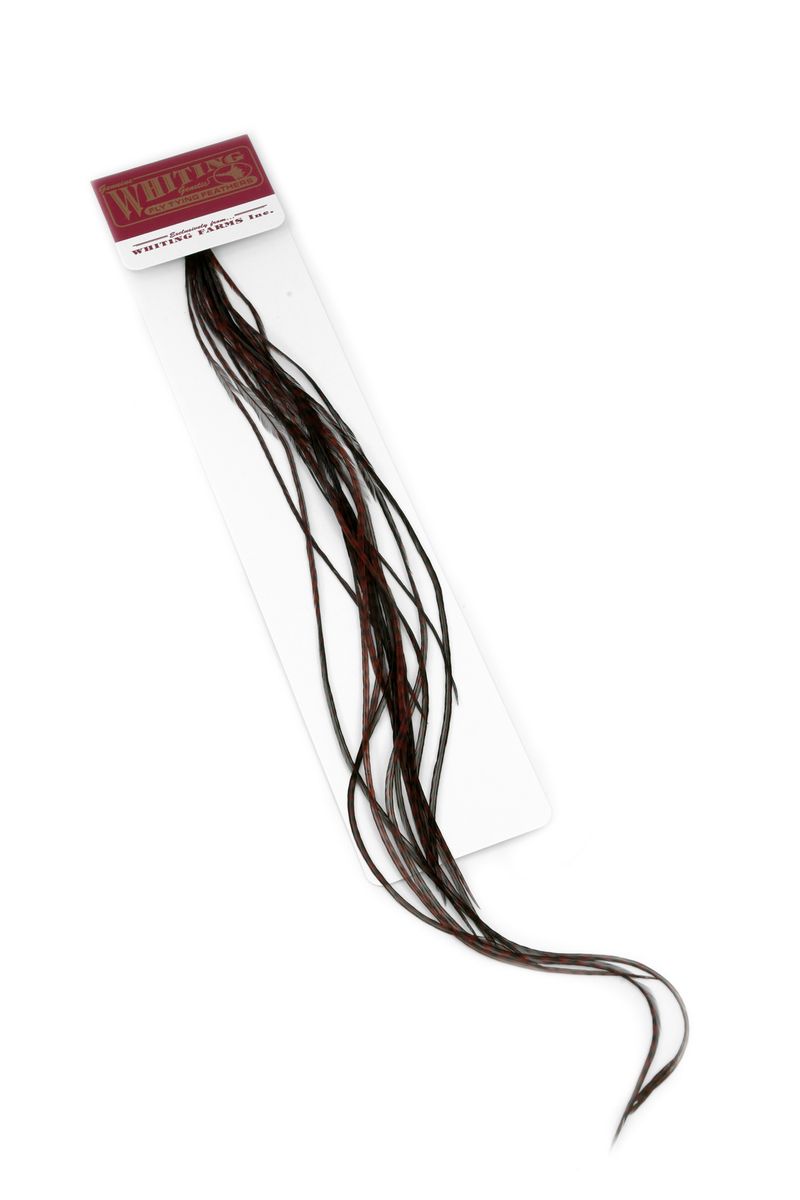Whiting 100-pk – Size 20 â€“ dealerweb-cms-8ee0df0b-a1c0-4902-9d3e-feae69bfe002.jpg