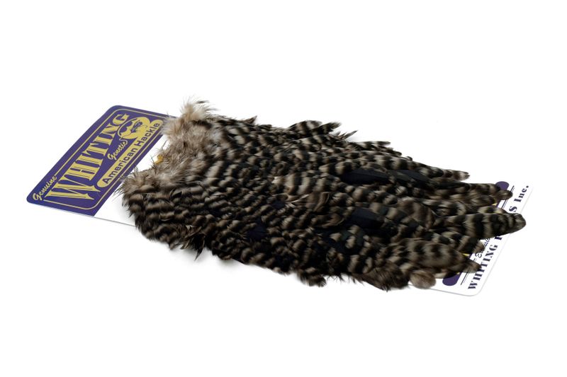 Whiting American Hen Saddle â€“ dealerweb-cms-915bd8f4-d24c-487b-9dcc-86707b31db12.jpg