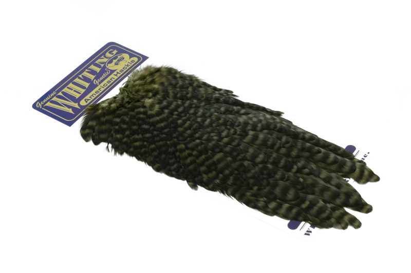 Whiting American Hen Saddle â€“ dealerweb-cms-9259323a-484c-444a-9b6b-fdc955f6a8c7.jpg