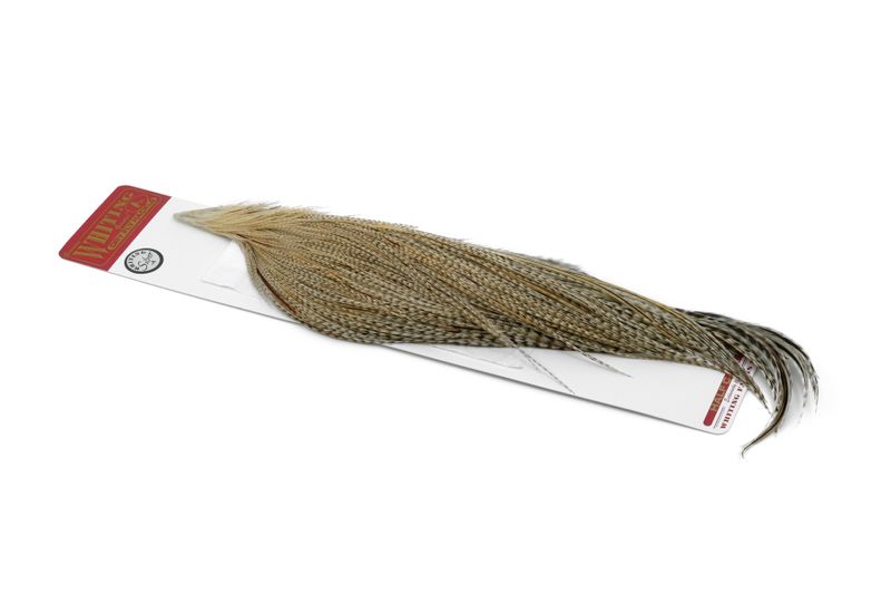 Whiting Silver 1/2 Cape â€“ dealerweb-cms-929c4219-d742-449b-a290-6b3b66fdedb6.jpg